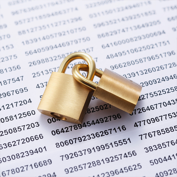 IBM Data Privacy for Information Architecture